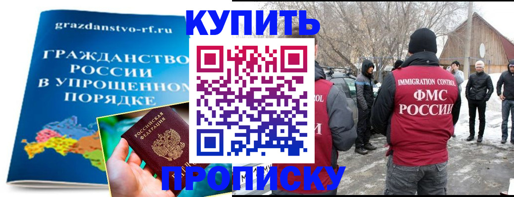 временная регистрация поиск в Коле