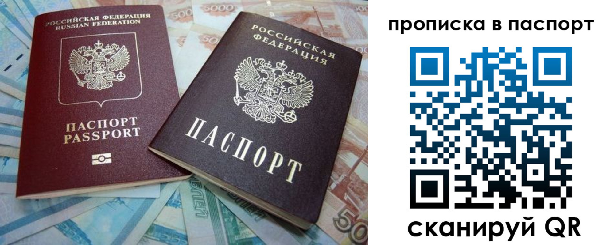 прописка поиск в Коле